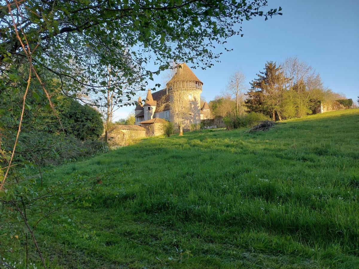 "Le Petit Bonheur" Gite Van 4 Tot 12 Personen Met Prive Vijver Van 2Ha Maisonnais-Sur-Tardoire Экстерьер фото